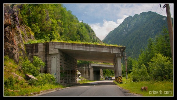 transfagarasan-iunie-2010-02