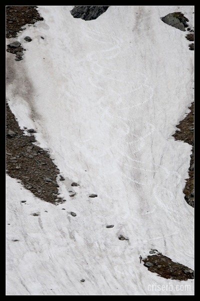 transfagarasan-iunie-2010-25