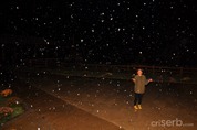 DSC_6723 DSC_6723