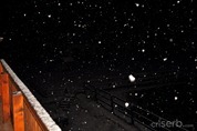 DSC_6726 DSC_6726