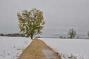 DSC_6729 DSC_6729