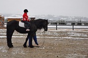 DSC_6742 DSC_6742