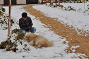 DSC_6745 DSC_6745