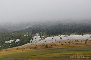 DSC_6796 DSC_6796
