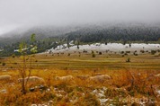 DSC_6797 DSC_6797