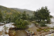 DSC_6808 DSC_6808