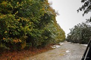 DSC_6825 DSC_6825