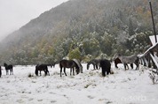 DSC_6827 DSC_6827