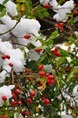 DSC_6888 DSC_6888
