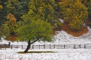 DSC_6899 DSC_6899