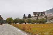 DSC_6906 DSC_6906