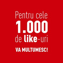 multumesc multumesc