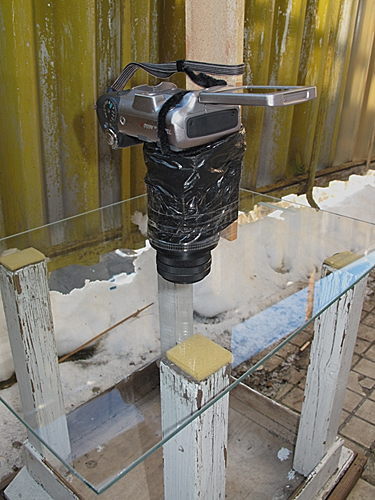 11044731296_3b7d6589b4_o