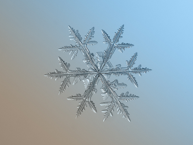 8473319158_5c2ca0fc16_z