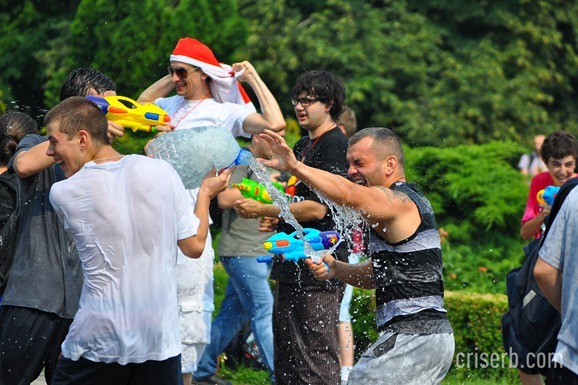 DSC_1135 DSC_1135