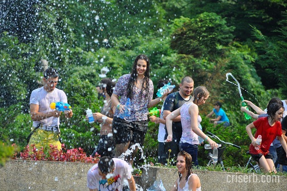 DSC_1387 DSC_1387