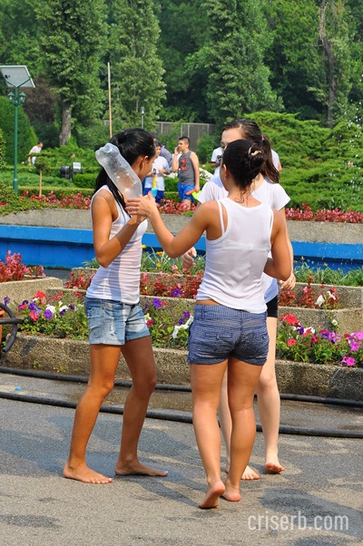DSC_1396 DSC_1396