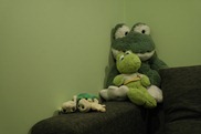 _SAM4027 _SAM4027