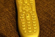 _SAM4052 _SAM4052