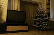 _SAM4159 _SAM4159