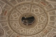 _SAM4295 _SAM4295