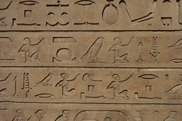 _SAM4329 _SAM4329
