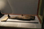 _SAM4330 _SAM4330