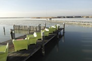 _SAM4356 _SAM4356