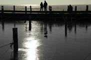 _SAM4358 _SAM4358