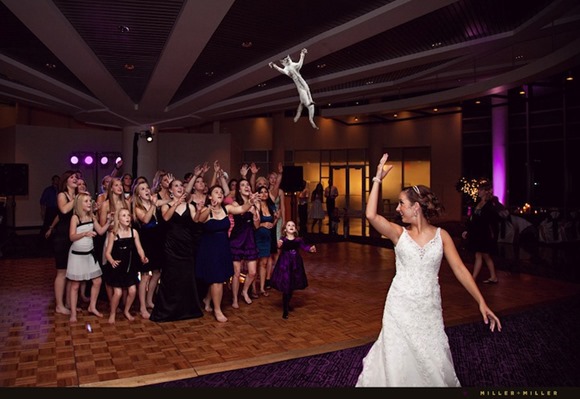 bridesthrowingcats2 bridesthrowingcats2