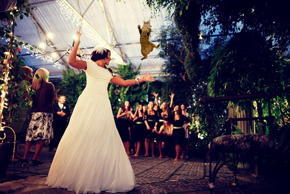 bridesthrowingcats4 bridesthrowingcats4