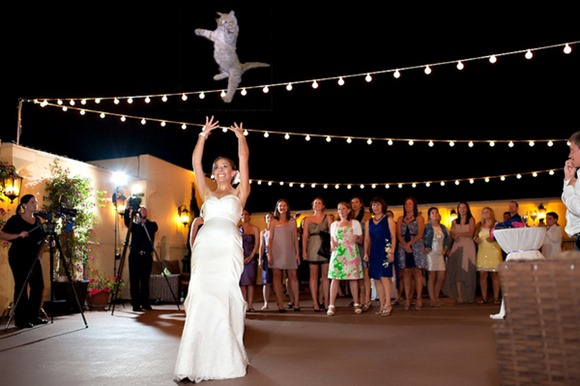 bridesthrowingcats5 bridesthrowingcats5