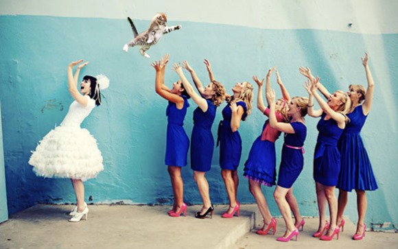 bridesthrowingcats6 bridesthrowingcats6