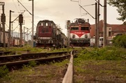 DSC_3418 DSC_3418