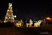 DSC_8184 DSC_8184