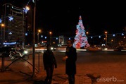 DSC_8198 DSC_8198