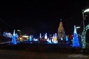 DSC_8203 DSC_8203