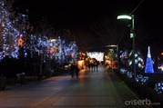 DSC_8204 DSC_8204