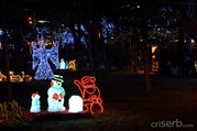 DSC_8210 DSC_8210