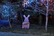 DSC_8212 DSC_8212