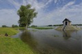 floods_german_polish_border_water_level_station floods_german_polish_border_water_level_station