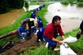 floods_hungary_szendro5 floods_hungary_szendro5