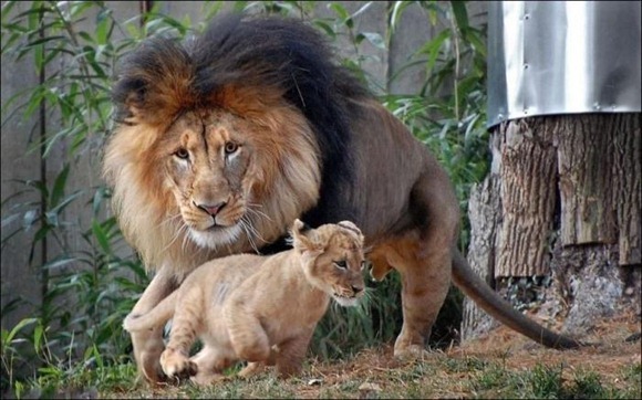 Mama_01