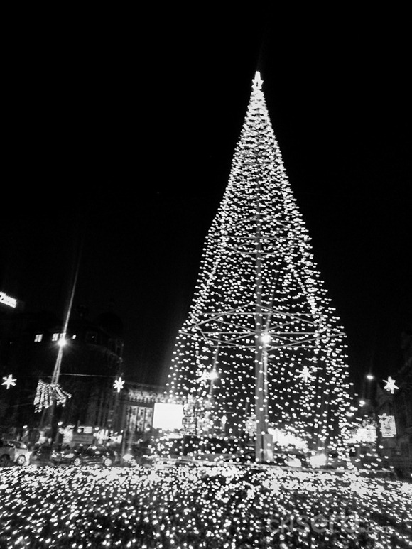 20121205_201212 20121205_201212
