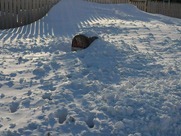 396277_380277075322768_100000214378150_1727564_124325202_n