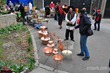 DSC_8792 DSC_8792