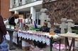 DSC_8809 DSC_8809