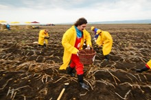 fermierii-lays-etapa-a-2-a-77