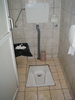 2743212840067376836KAVAnt_fs