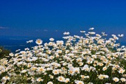 DSC_2691 DSC_2691